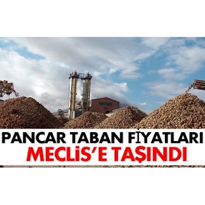 Pancar taban fiyatları  Meclis’e taşındı